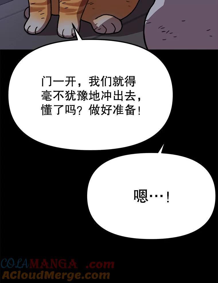 第291页