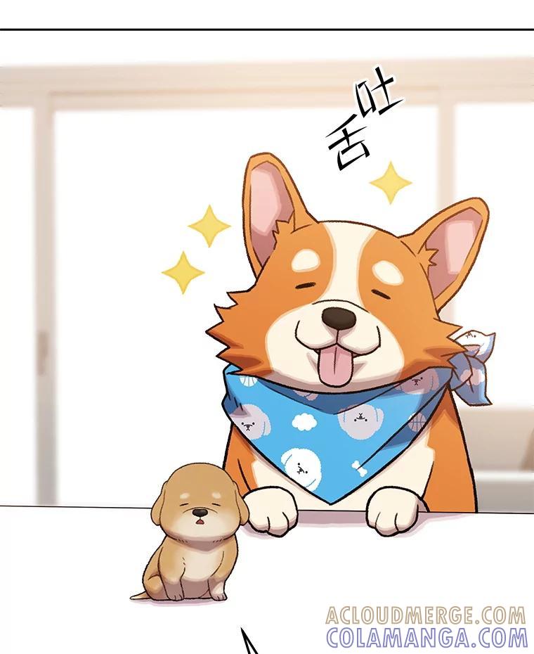 第255页