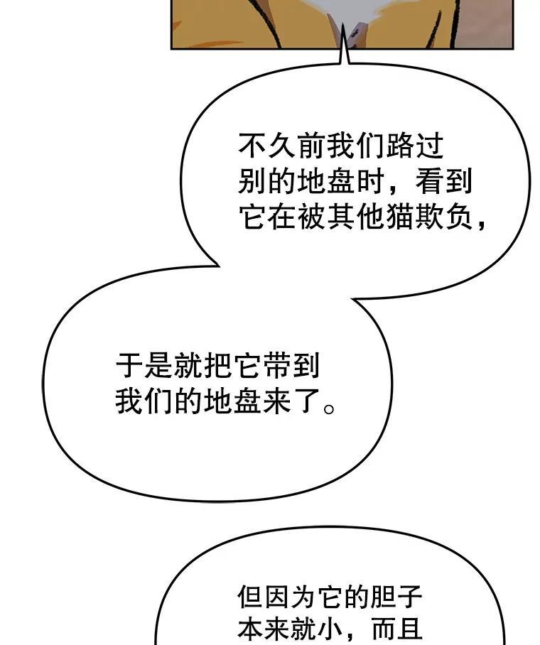 第275页