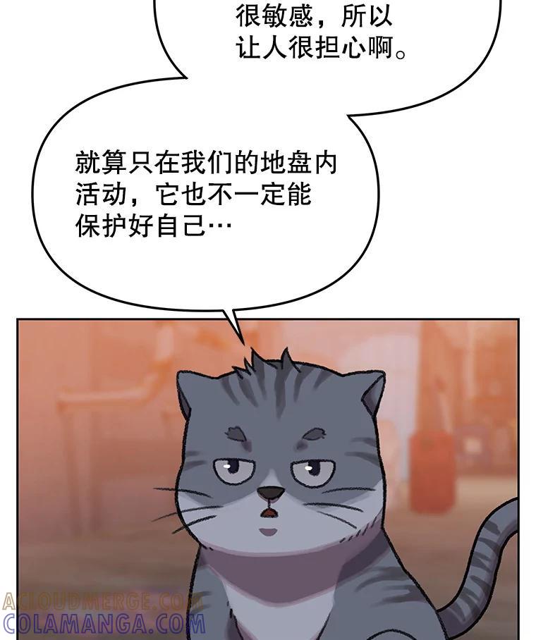 第279页