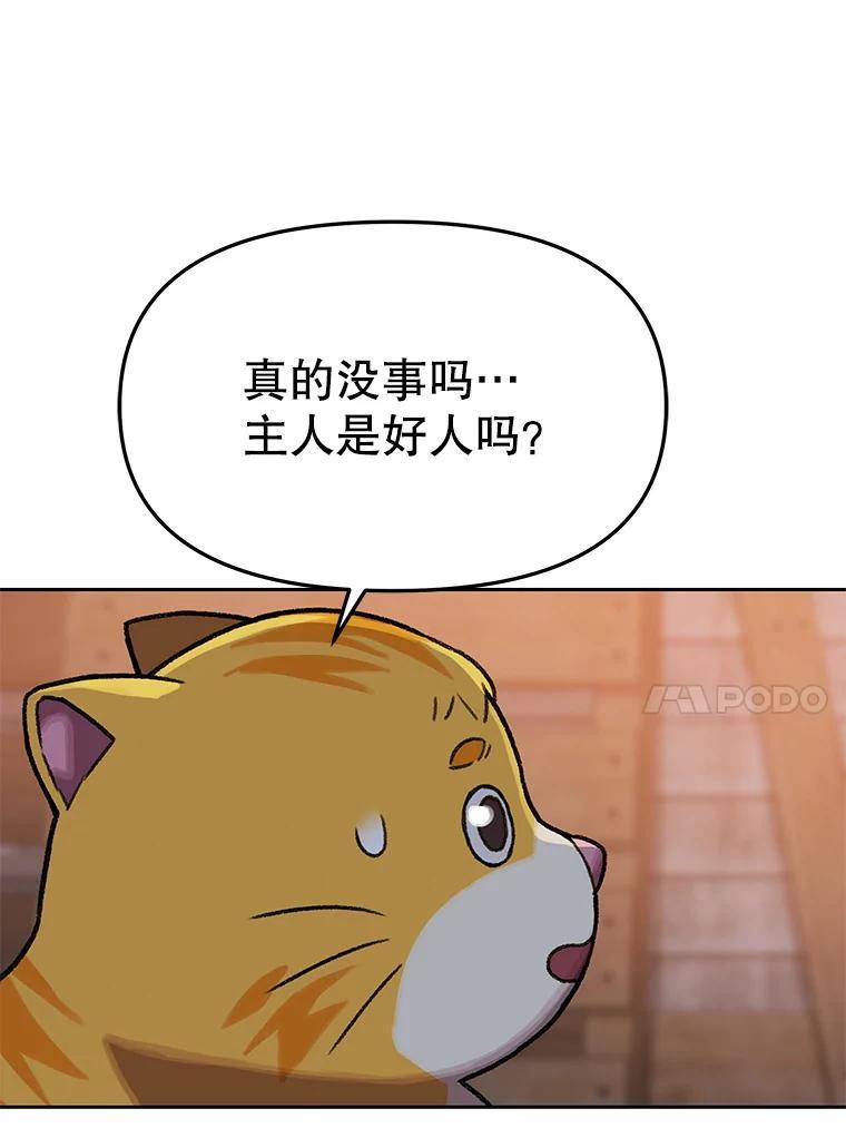 第251页