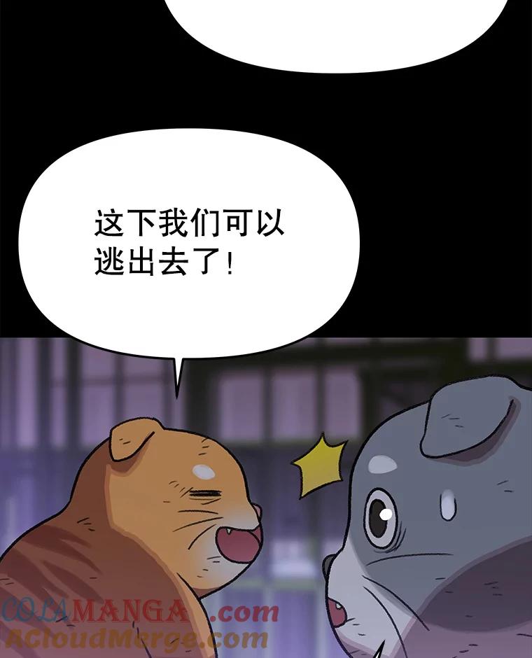 第244页