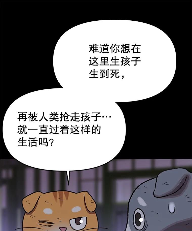 第264页