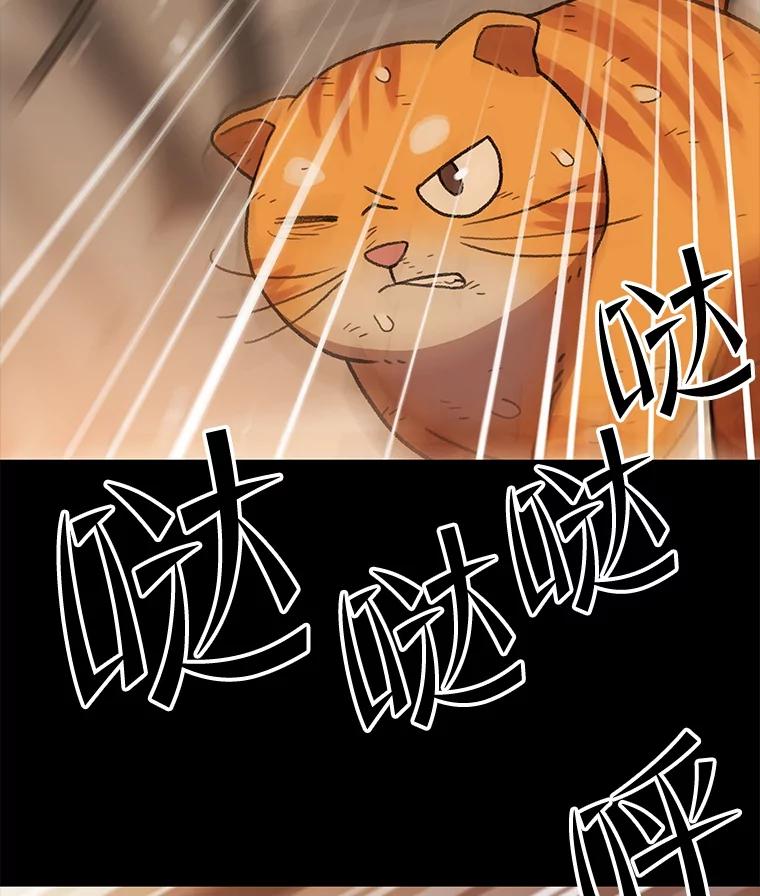 第360页