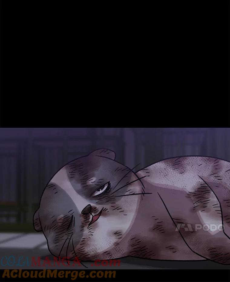第260页