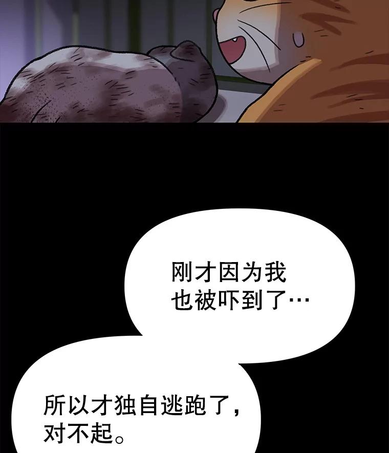 第384页