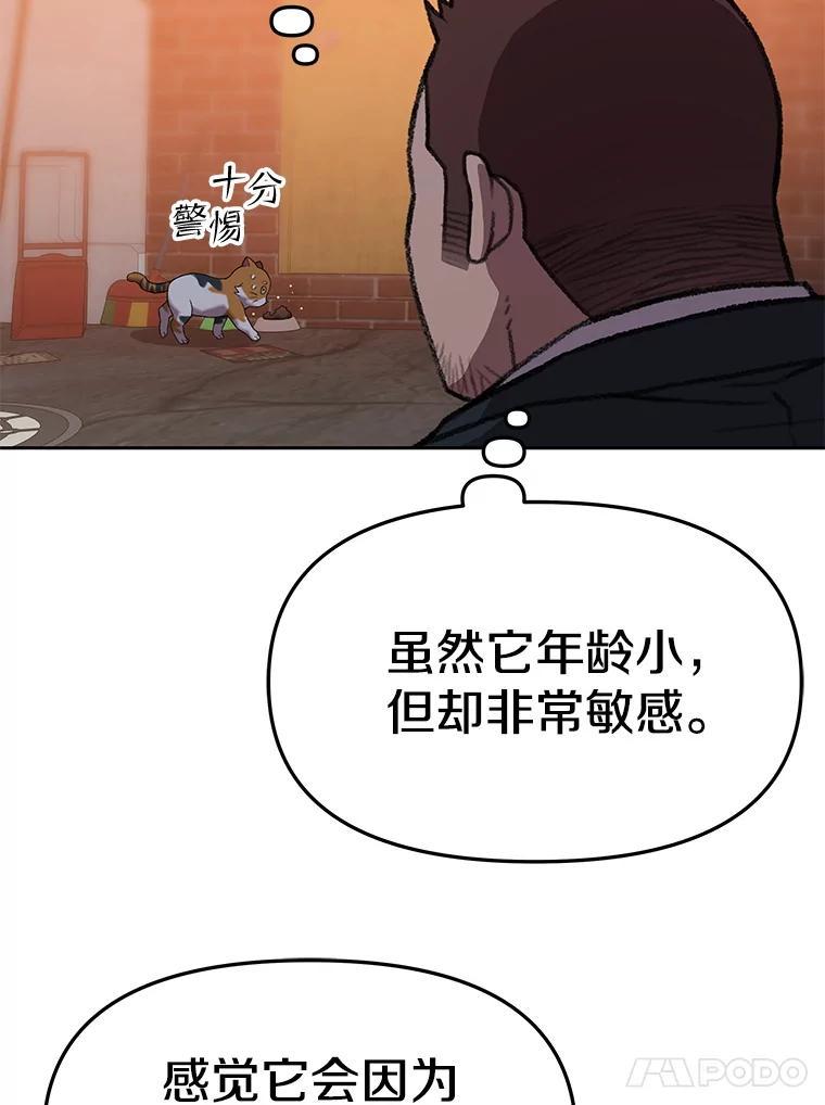 第260页