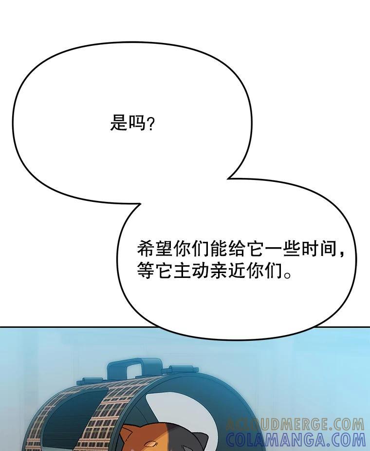 第244页