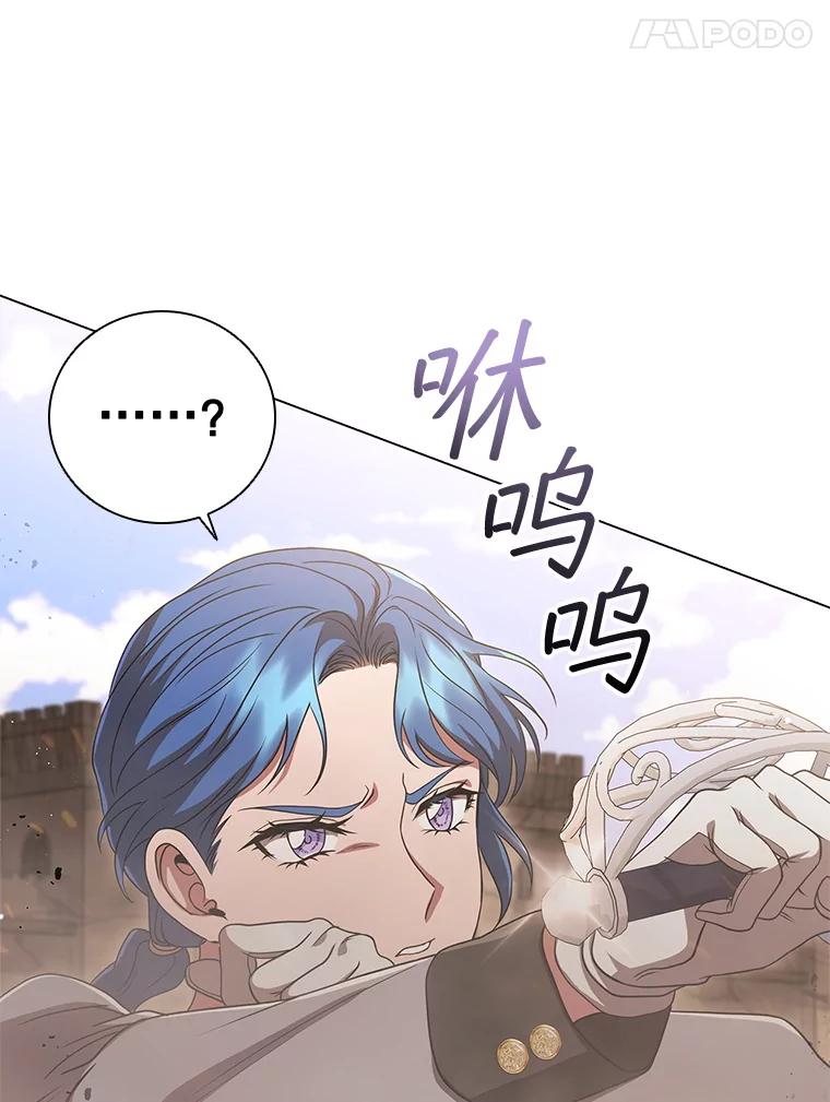 第223页