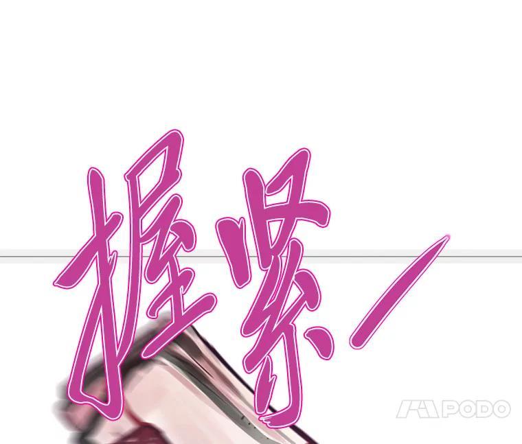 第260页