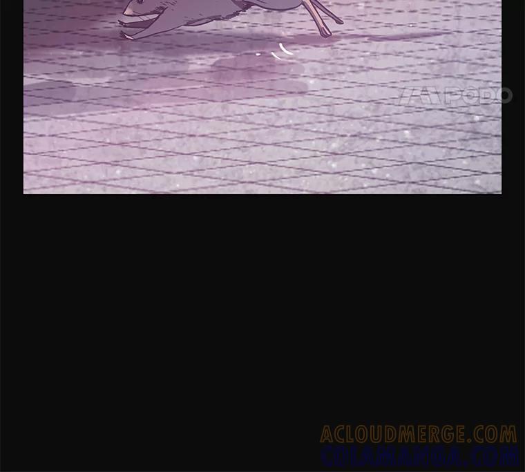 第242页