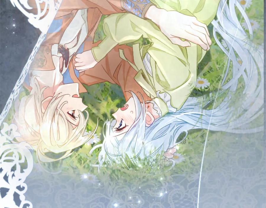 第206页