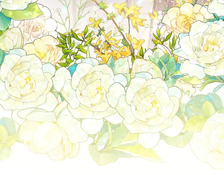 第215页