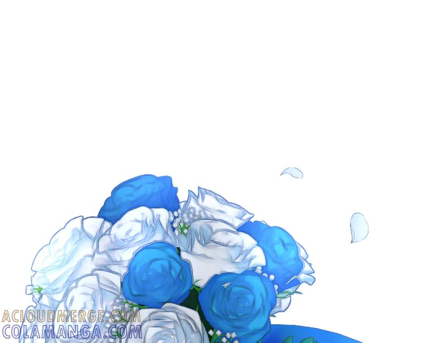 第253页