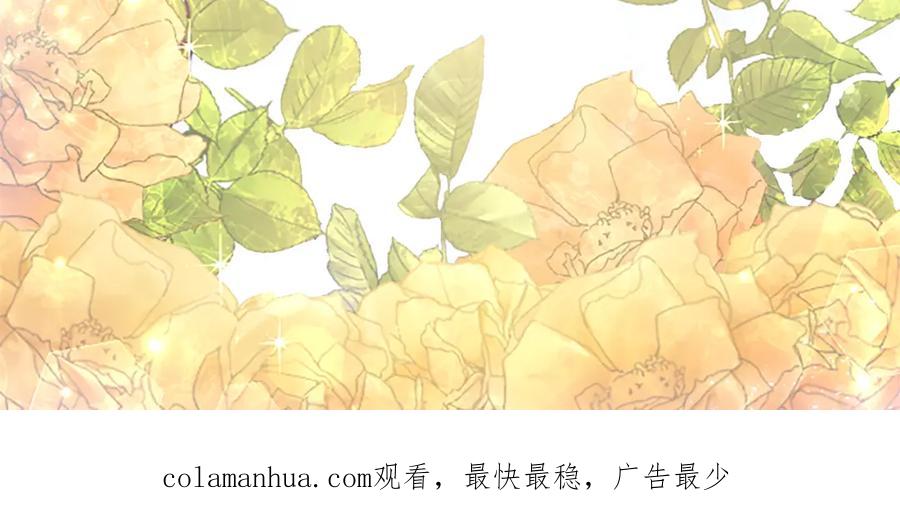 第255页