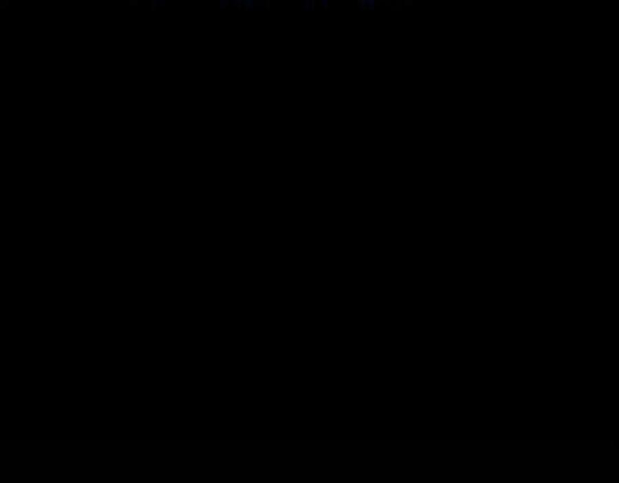 第223页