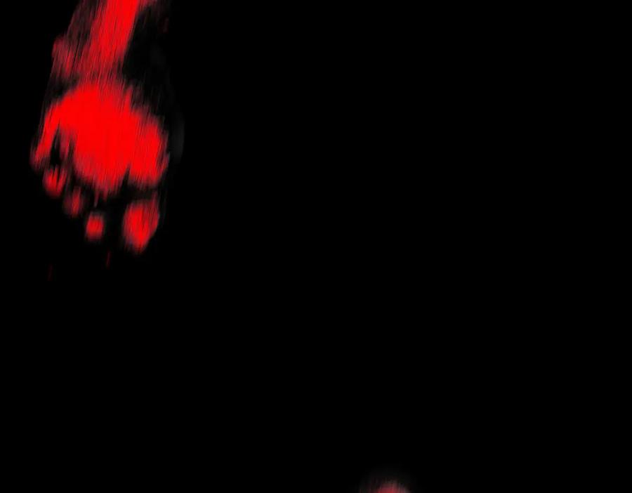 第244页