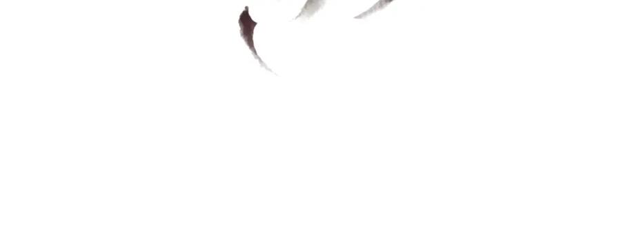第243页
