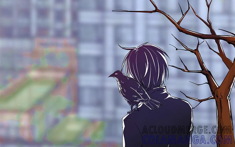第213页