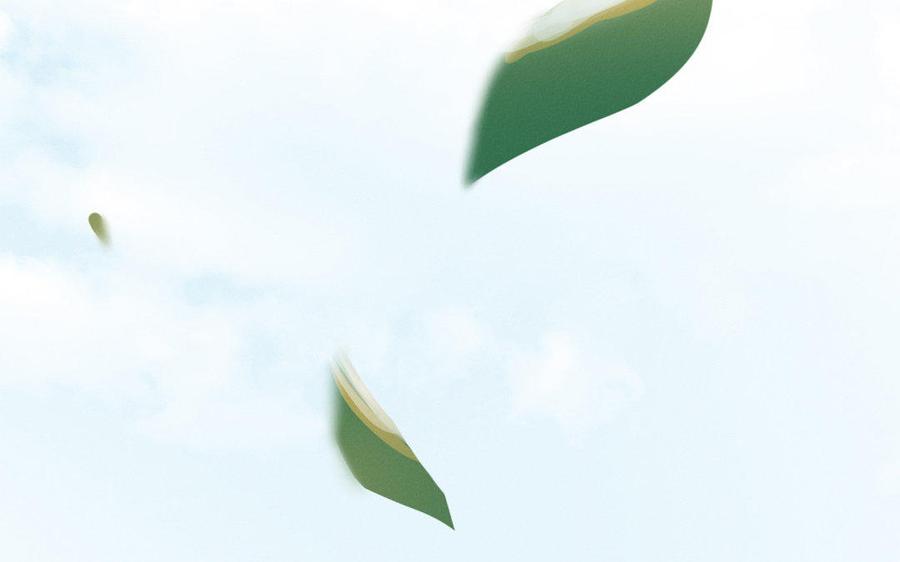 第116页