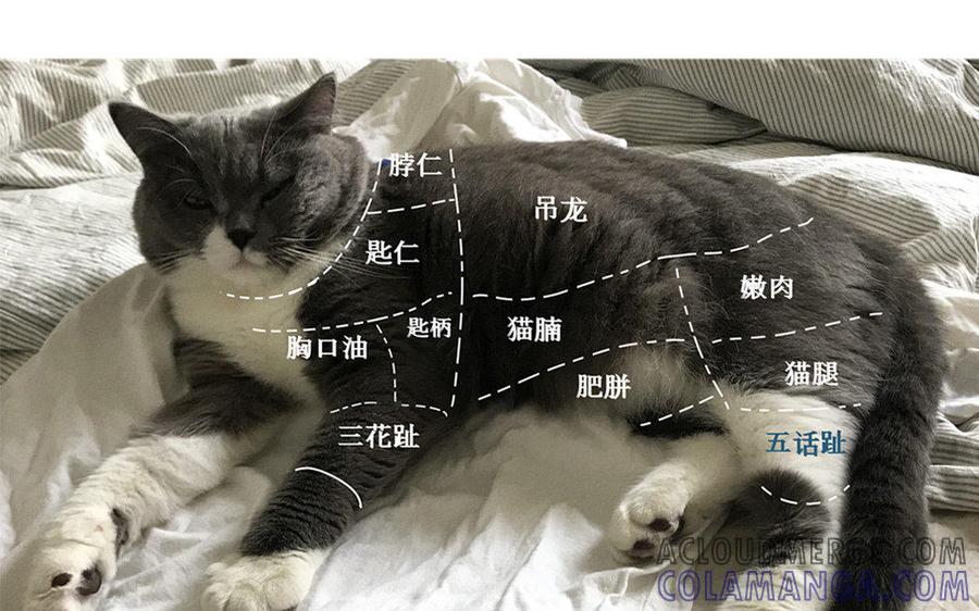 第145页