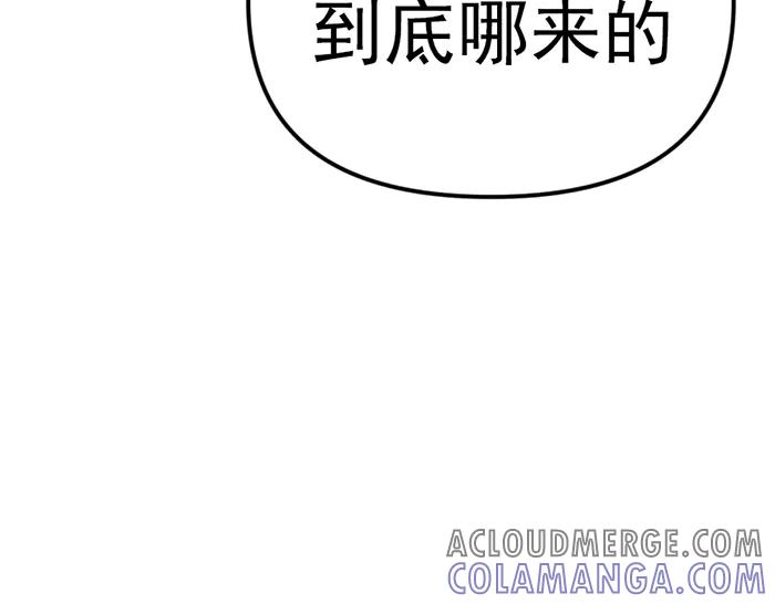 第233页
