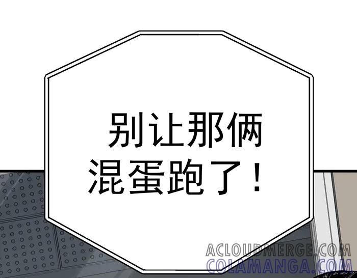 第213页