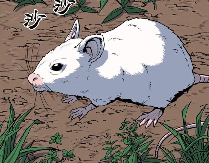 第152页