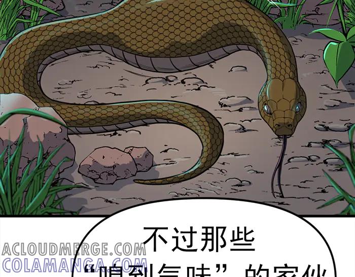 第181页