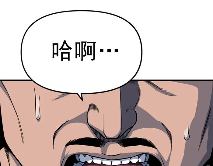 第234页