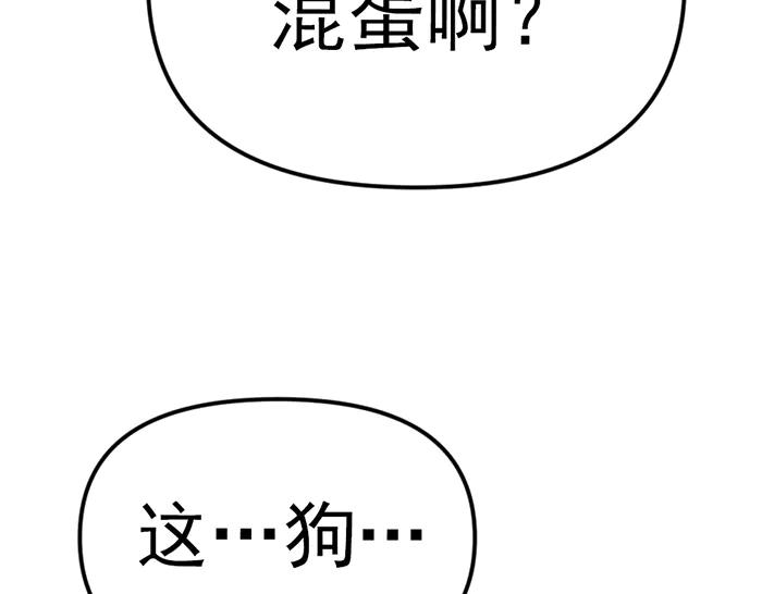 第223页
