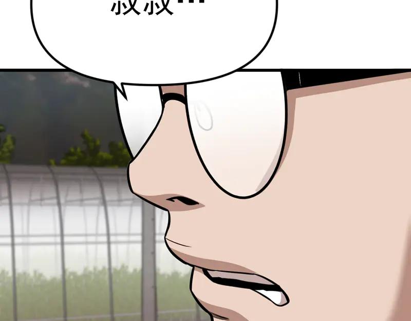 第255页