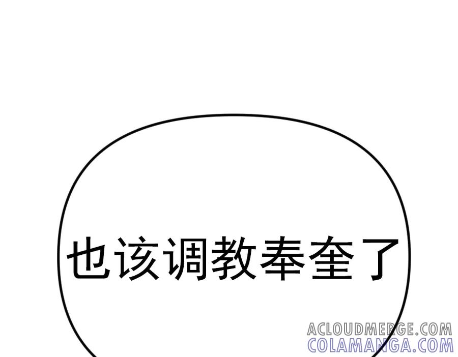 第213页