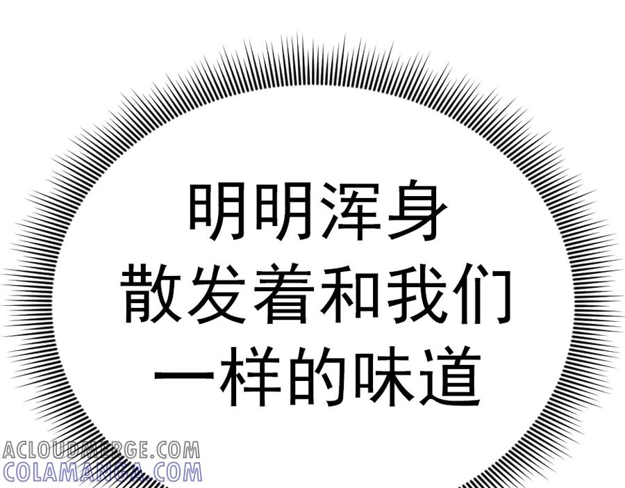 第241页