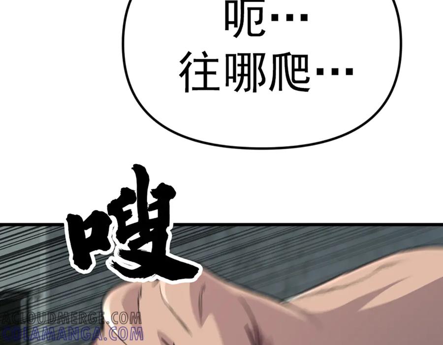 第237页