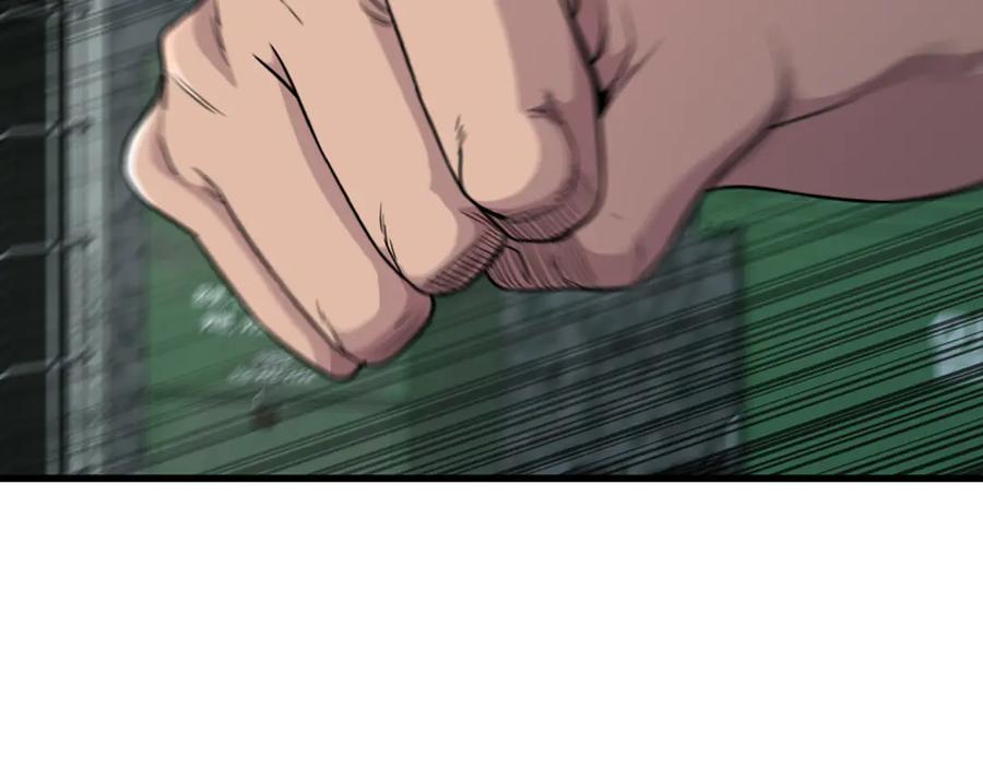 第238页