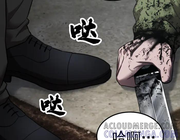 第205页