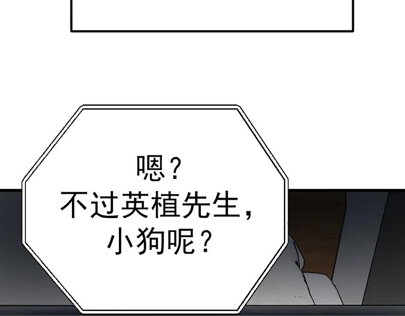 第243页