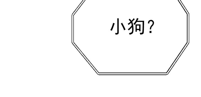 第247页