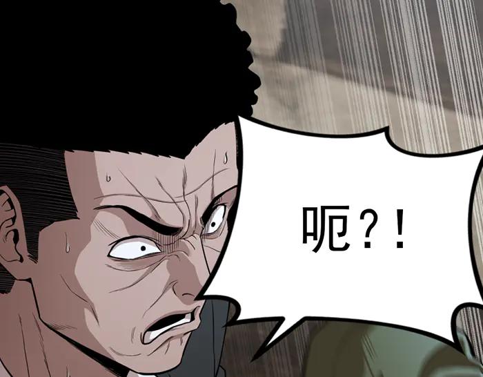 第223页