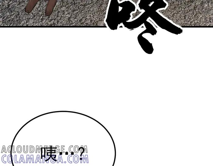 第205页