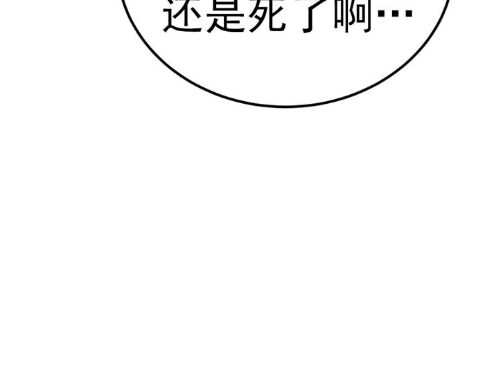 第223页