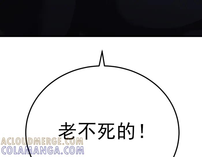 第233页