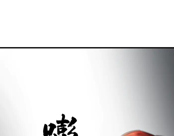 第223页