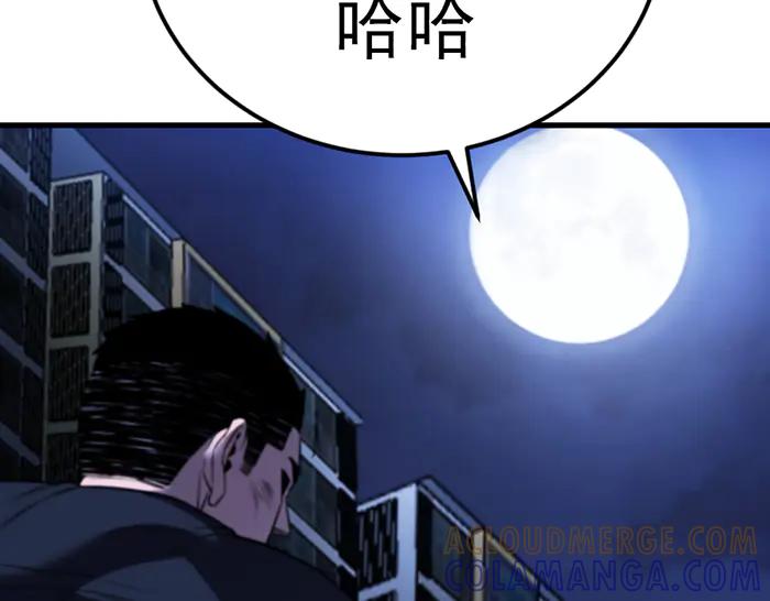 第229页