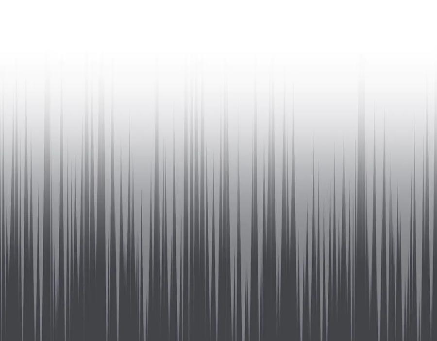 第244页