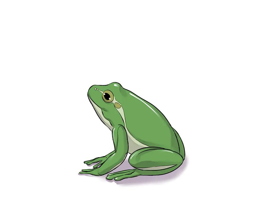 第71页