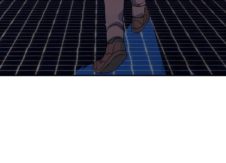 第244页