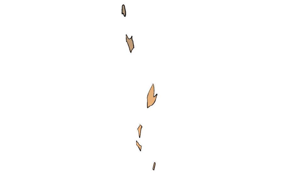 第75页