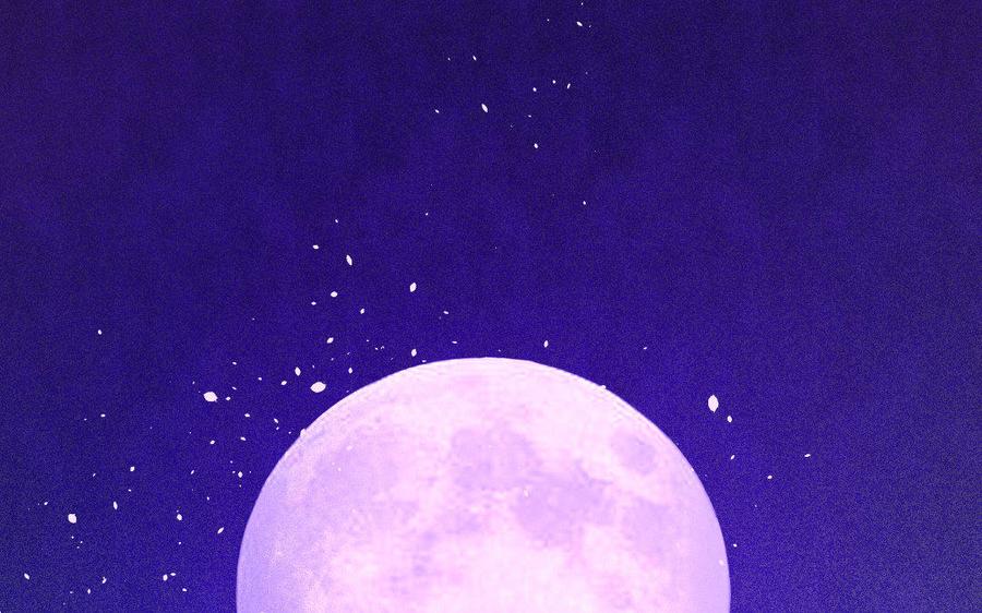第135页